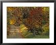 Fall Colors, View Of Country Land, Loudoun County, Virginia, Usa by Kenneth Garrett Limited Edition Print