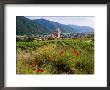 Weissenkirchen Pfarrkirche And Vineyards, Wachau, Lower Austria, Austria by Charles Bowman Limited Edition Print