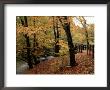 Breezy Autumn Day By The River Brathay Footbridge, Skelwith Bridge, Cumbria, England by Pearl Bucknall Limited Edition Print