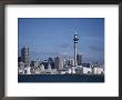 View Of City And Tower From The Water, Auckland, North Island, New Zealand by D H Webster Limited Edition Print