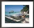 Hammock On The Beach, Tobago, West Indies, Caribbean, Central America by Adam Woolfitt Limited Edition Print