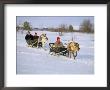 Southern Lapp Man With Reindeer Sledge, Roros, Norway, Scandinavia by Adam Woolfitt Limited Edition Print