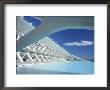 Principe Felipe Science Museum, City Of Arts And Sciences, Valencia, Spain by Marco Simoni Limited Edition Print