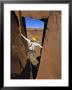 Rock Climbing On Desert Tower, Utah by Bill Hatcher Limited Edition Print