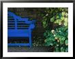 A Brightly Colored Blue Bench At The Chicago Botanic Garden by Paul Damien Limited Edition Print