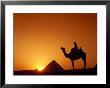 Silhouette Of Figure On Camelback At Pyramid, Giza, Cairo, Egypt by Nigel Francis Limited Edition Print