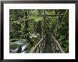 Trail In Cloud Forest, La Paz Waterfall Gardens, Central Valley, Costa Rica by Rolf Nussbaumer Limited Edition Print