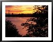 View Of Lake Union And Space Needle, Seattle, Washington, Usa by William Sutton Limited Edition Print