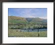 Entrance To Dovedale, Ilam, Peak District National Park, Staffordshire, England by Pearl Bucknall Limited Edition Print