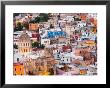 Templo La Compania And Houses On Steep Hillside, Guanajuato, Mexico by Julie Eggers Limited Edition Print