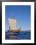 Gaia, Replica Viking Ship, Norway, Scandinavia by David Lomax Limited Edition Print