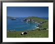County Kerry, Munster, Eire (Republic Of Ireland) by Simon Harris Limited Edition Print