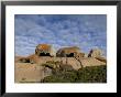 Remarkable Rocks, Kangaroo Island, South Australia, Australia by Thorsten Milse Limited Edition Print
