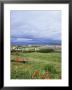 Landscape Near Ardara, County Donegal, Ulster, Eire (Republic Of Ireland) by David Lomax Limited Edition Print