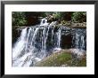 Wentworth Falls, Blue Mountains, New South Wales (Nsw), Australia by Robert Francis Limited Edition Print