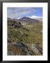 Moss Covered Lava Beds Surround Snaefellsjokull, On The Snaefellsnes Peninsula, Iceland by Neale Clarke Limited Edition Print