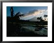 Reflections In Water Of Rice Paddies, Amed Village, Island Of Bali, Indonesia, Southeast Asia by Bruno Barbier Limited Edition Print