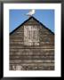 Gull Perched On A Net Hut, Old Town, Hastings, East Sussex, England, United Kingdom by Brigitte Bott Limited Edition Print