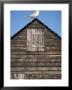 Gull Perched On A Net Hut, Old Town, Hastings, East Sussex, England, United Kingdom by Brigitte Bott Limited Edition Print