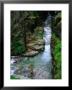 Overhead Of Sunrift Gorge, Glacier National Park, Usa by Carol Polich Limited Edition Print