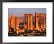 Columns Of Ruins At Dawn, Palmyra, Syria by Wayne Walton Limited Edition Pricing Art Print