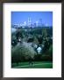 Walking Path In Park, Lohrberg, Frankfurt-Am-Main, Germany by Martin Moos Limited Edition Print