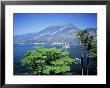 Cadenabbia, Lago Di Como, Lombardia, Italian Lakes, Italy by Gavin Hellier Limited Edition Pricing Art Print