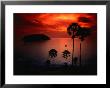 A Fiery Tropical Sunset At Prohmthep Cape, Phuket, Thailand by Anders Blomqvist Limited Edition Print