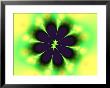 Flower-Like Shape On Vivid Yellow And Green Background by Albert Klein Limited Edition Pricing Art Print