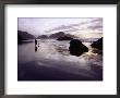 Person Walking Dog At Sunset, Cape Sebastian, Or by Jim Corwin Limited Edition Print