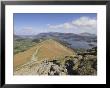 View Of Derwent Water From Catbells, Lake District National Park, Cumbria, England by Neale Clarke Limited Edition Print