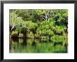 Mardugal Billabong, Kakadu National Park, Northern Territory, Australia by John Banagan Limited Edition Pricing Art Print