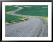 Curved Roadway In Wheat Field, Eastern Washington, Usa by Darrell Gulin Limited Edition Print