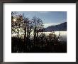 Sunrise On The Lower Slopes Of Cerro Catedral, Bariloche, Argentina, South America by Mark Chivers Limited Edition Print