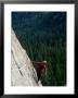View Of A Climber On The Face Of El Capitan by Phil Schermeister Limited Edition Pricing Art Print