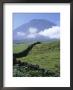 Landscape, Pico, Azores Islands, Portugal, Atlantic by David Lomax Limited Edition Print