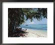 Coral Sand Beach, Papua New Guinea by Mrs Holdsworth Limited Edition Print