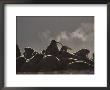 A Large Group Of Atlantic Walruses Basking by Paul Nicklen Limited Edition Print