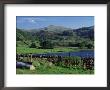 Watendlath Tarn, Borrowdale, Near Keswick, Lake District, Cumbria, England, United Kingdom by Lee Frost Limited Edition Pricing Art Print