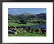 Watendlath Tarn, Borrowdale, Near Keswick, Lake District, Cumbria, England, United Kingdom by Lee Frost Limited Edition Print