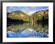 View Across Nymph Lake At Sunrise, Colorado, Usa by Ruth Tomlinson Limited Edition Pricing Art Print