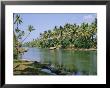 The Backwaters At Chavara, Kerala State, India, Asia by Jenny Pate Limited Edition Pricing Art Print