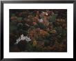 Lyndhurst Castle, Whose Gothic Revival Spires Dominate A 67-Acre Estate Overlooking The Hudson by Jodi Cobb Limited Edition Pricing Art Print