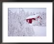 Nordmarka, Oslo, Norway, Scandinavia, Europe by Kim Hart Limited Edition Pricing Art Print