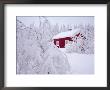 Nordmarka, Oslo, Norway, Scandinavia, Europe by Kim Hart Limited Edition Print