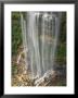 Wentworth Falls by Grant Dixon Limited Edition Print
