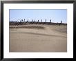 People Walking On Gran Canaria Sand Dunes, Maspalomas, Canary Islands, Spain by Tony Wheeler Limited Edition Print