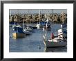 Sailboats In Rockport Harbor, Ma by Tim Laman Limited Edition Print