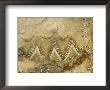 Closeup Of An Emigdiano Chumash Pictograph Abstract Design, California by Rich Reid Limited Edition Print