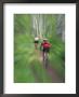 Zoom Effect Of Mountain Bike Racers On Trail In Aspen Forest, Methow Valley, Washington, Usa by Steve Satushek Limited Edition Print
